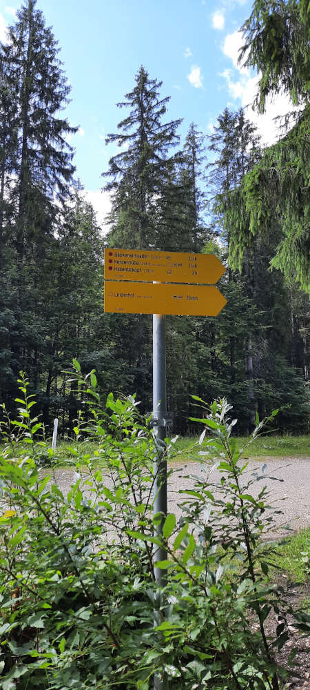 Schilderbaum auf dem Weg zum Hasentalkopf