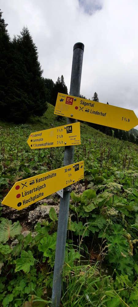 Schilderbaum auf dem Weg zum Hasentalkopf