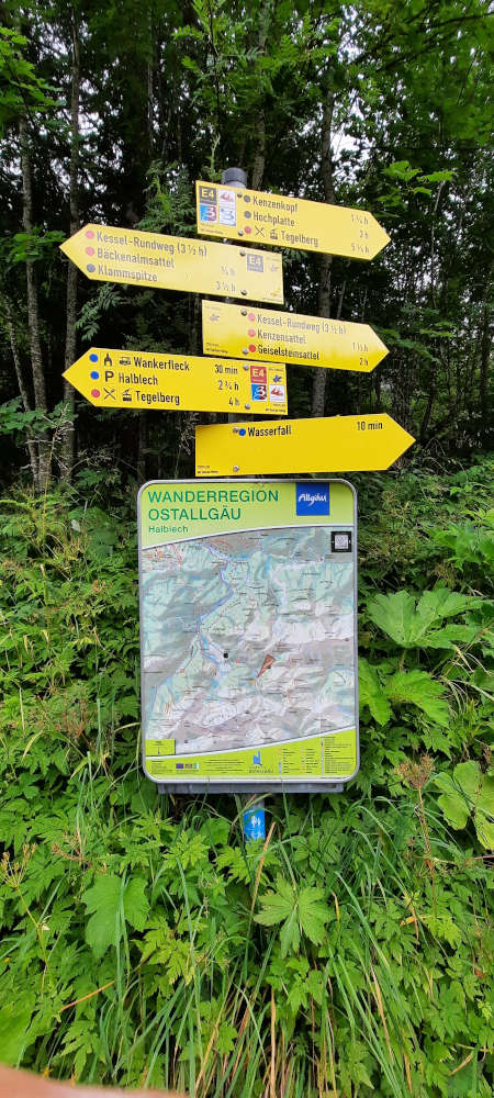 Schilderbaum auf dem Weg zum Hasentalkopf