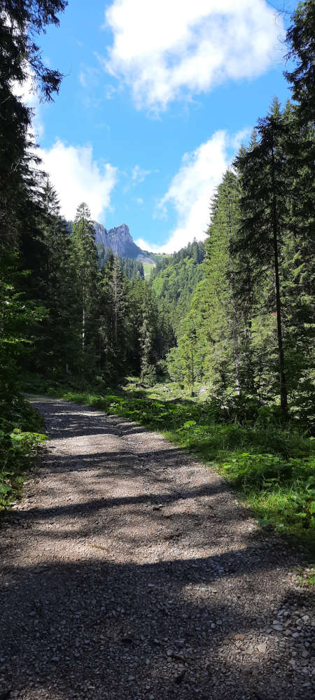 Wanderweg zum Hasentalkopf