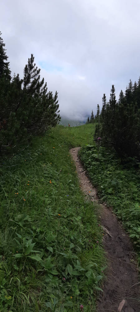 Wanderweg zum Hasentalkopf