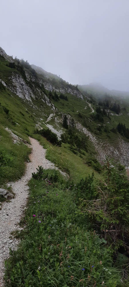 Wanderweg zum Hasentalkopf
