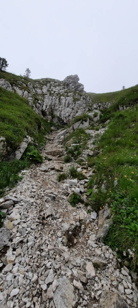 Wanderweg zum Hasentalkopf