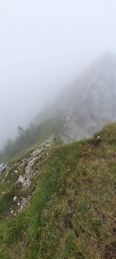 Wanderweg zum Hasentalkopf