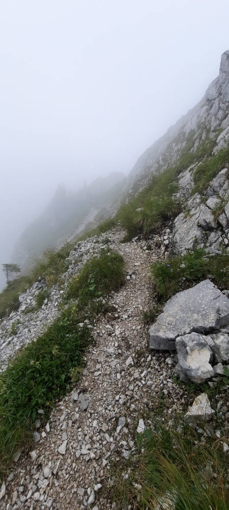 Wanderweg zum Hasentalkopf