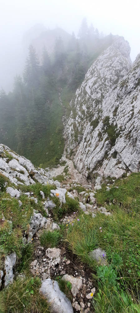 Wanderweg zum Hasentalkopf