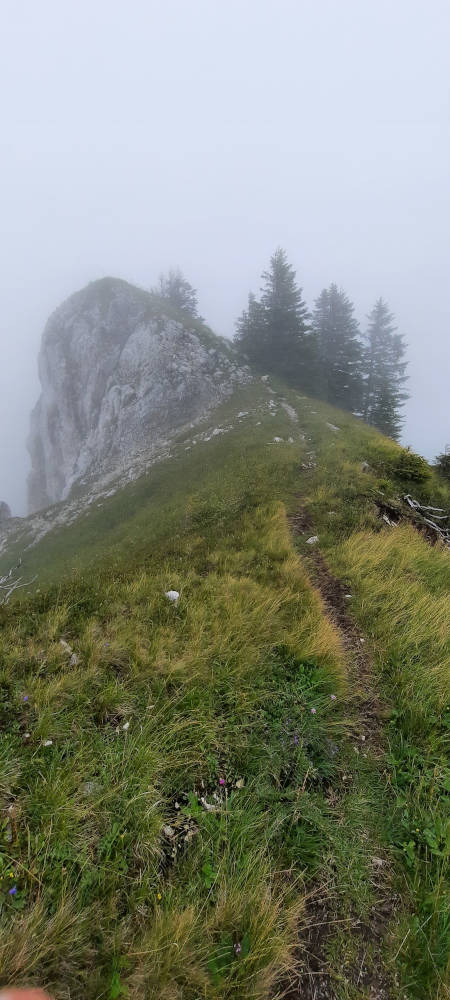 Wanderweg zum Hasentalkopf