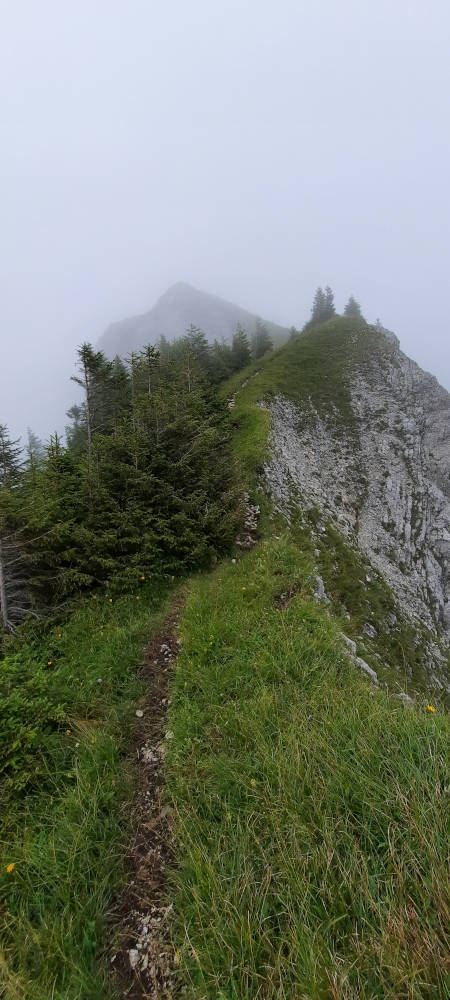 Wanderweg zum Hasentalkopf