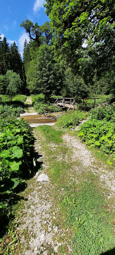 Brücke auf dem Wanderweg zum Hasentalkopf