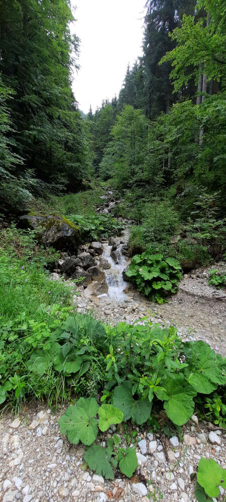 Wasserfall auf dem Wanderweg zum Hasentalkopf