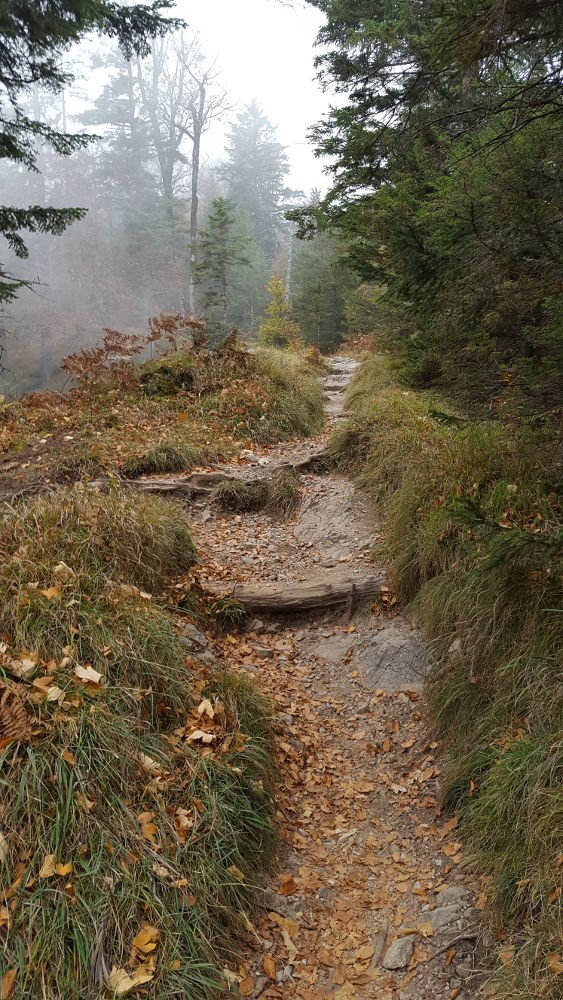 Heimgarten Wanderweg