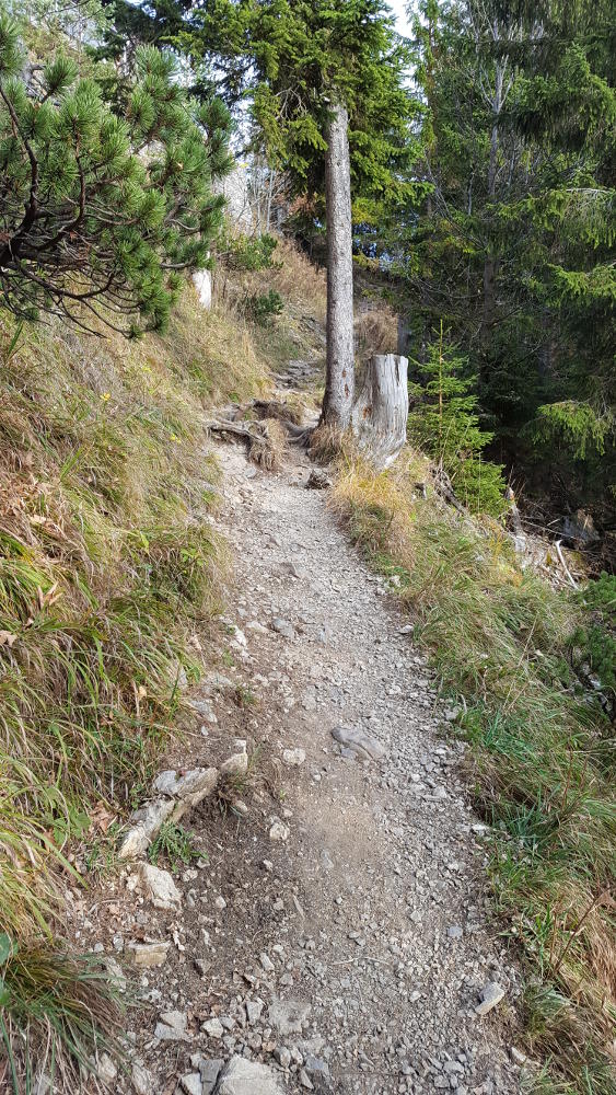 Herzogstandhaus Wanderweg