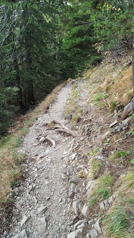 Herzogstandhaus Wanderweg