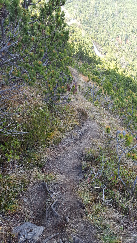 Martinskopf Trampelpfad