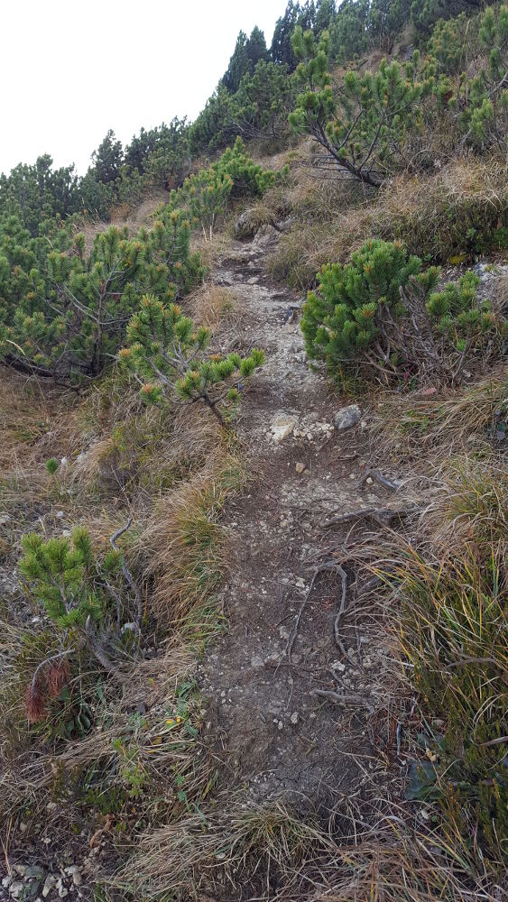 Martinskopf Trampelpfad