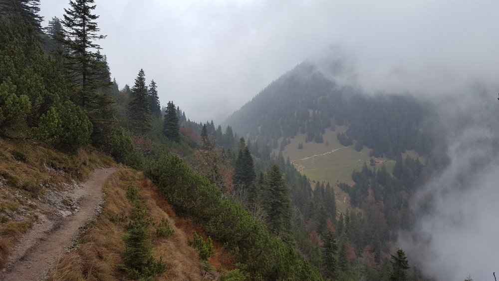 Ohlstädter Alm Wanderweg