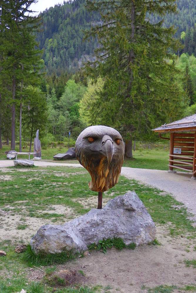 Holzadlerkopf Klausbachtal