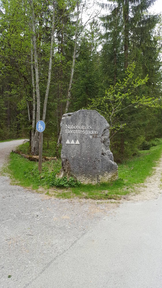 Stein Nationalpark Berchtesgaden