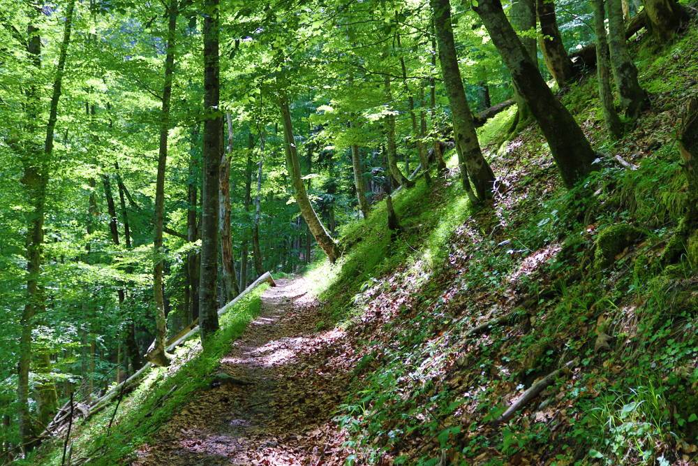 Wanderweg zur Höllentalklamm