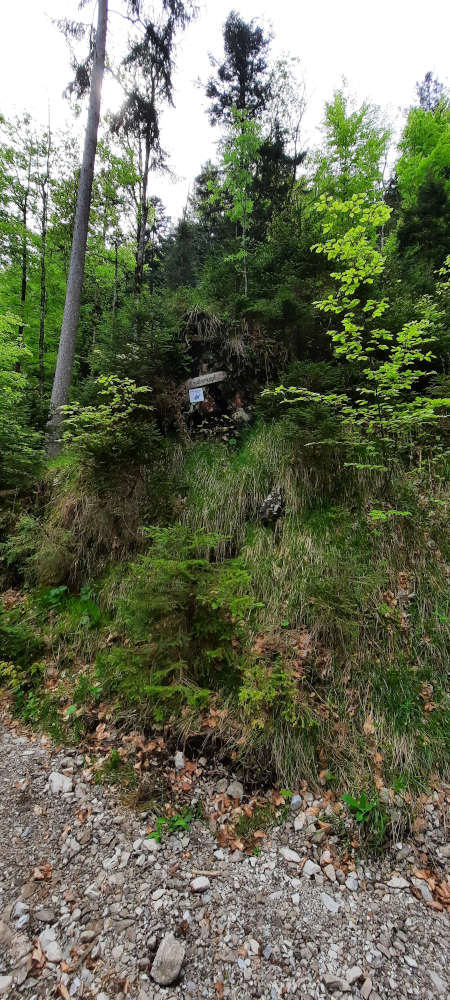 Schilderbaum auf dem Wanderweg zu Hohe Kisten