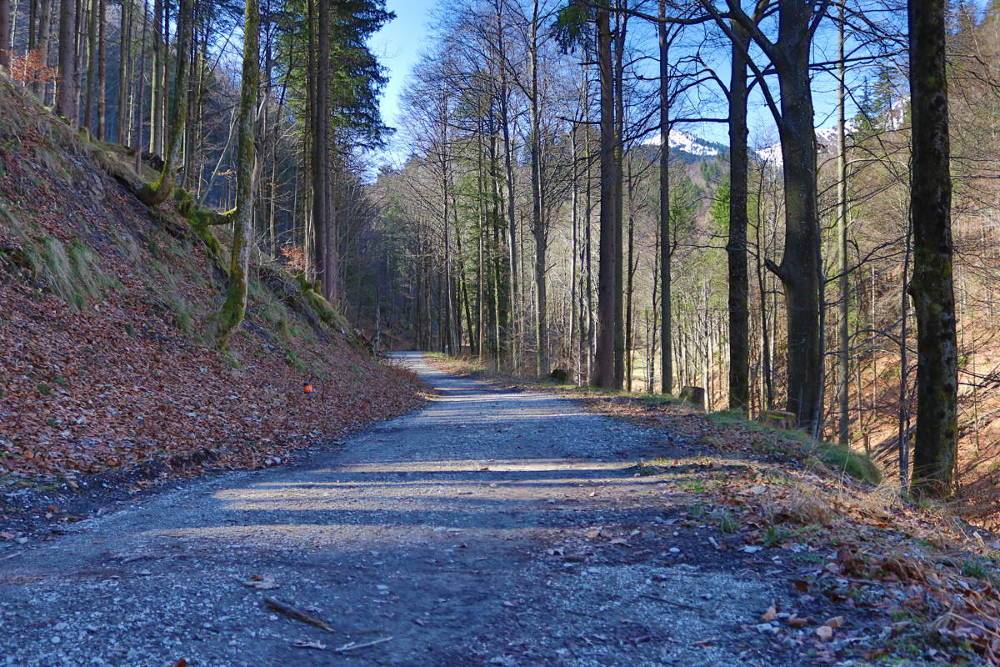 Weg nahe der Kesselbergstraße