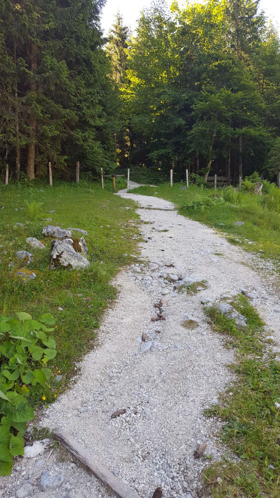 Wanderweg zur Kührointhütte