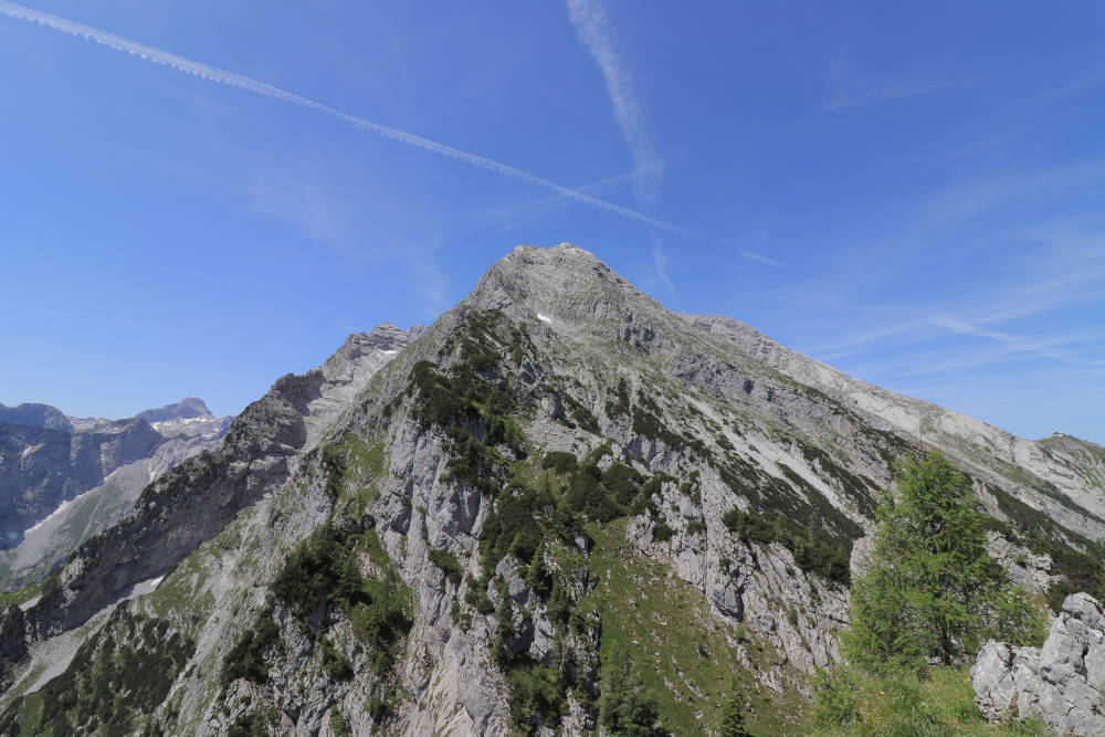 Aussicht am Mooslahnerkopf