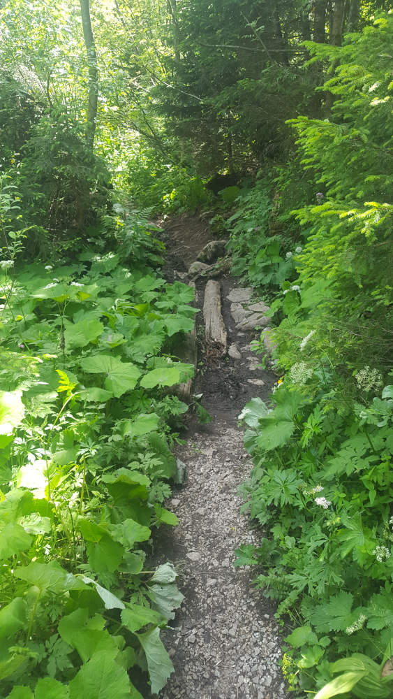 Wanderweg zum Mooslahnerkopf