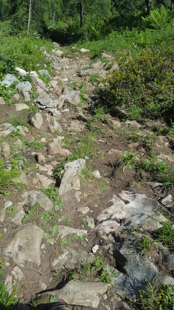 Wanderweg zum Mooslahnerkopf