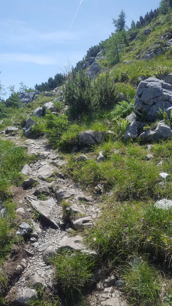 Wanderweg zum Mooslahnerkopf