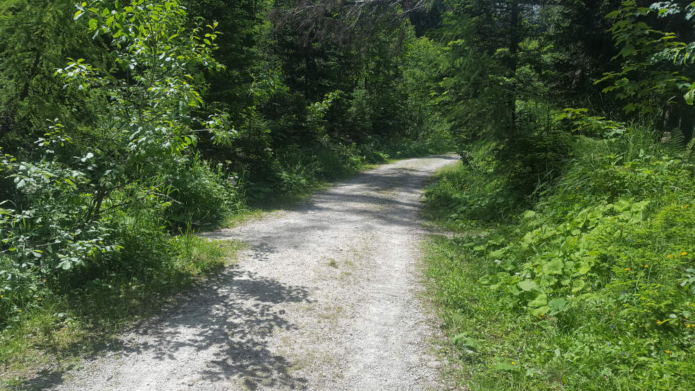 Kreuzung zum Wanderweg des Mooslahnerkopfs
