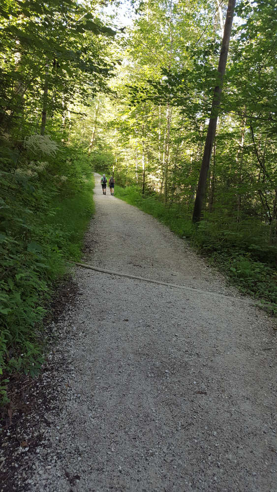Wanderweg zur Schapbachalm