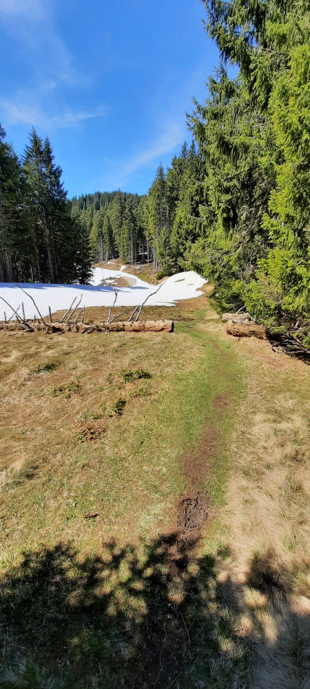 Anwurfplatz vor dem Niederbleick