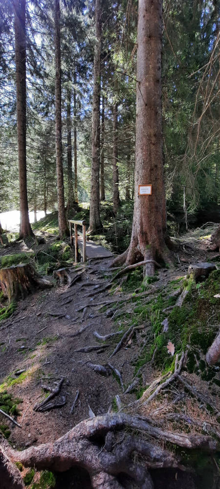 Schneidertal Brücke