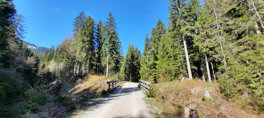 Brücke auf dem Wanderweg zum Niederbleick und Hohe Bleick