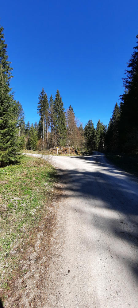 Gabelung auf dem Wanderweg zum Niederbleick und Hohe Bleick