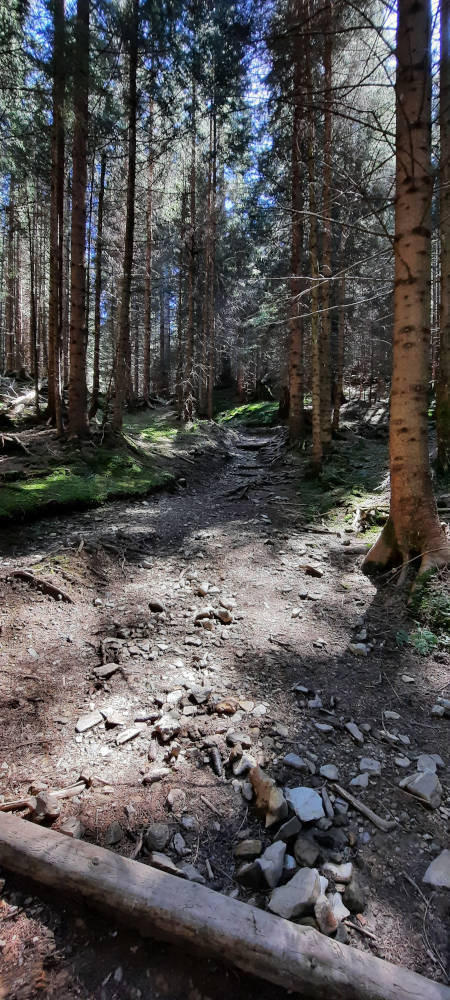 Wanderweg zum Niederbleick und Hohe Bleick