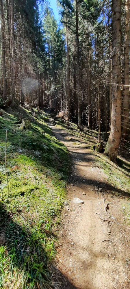Wanderweg zum Niederbleick und Hohe Bleick