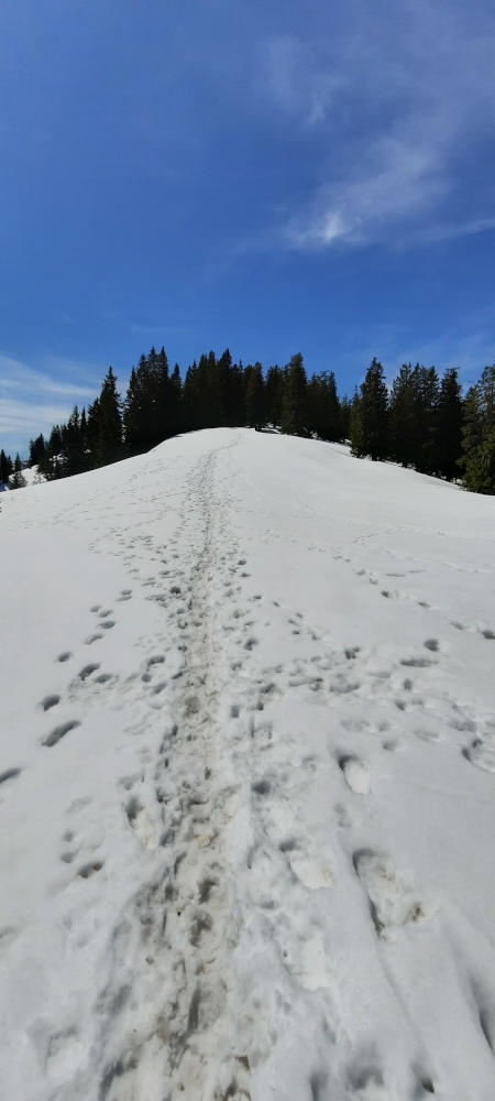 Wanderweg zum Niederbleick und Hohe Bleick