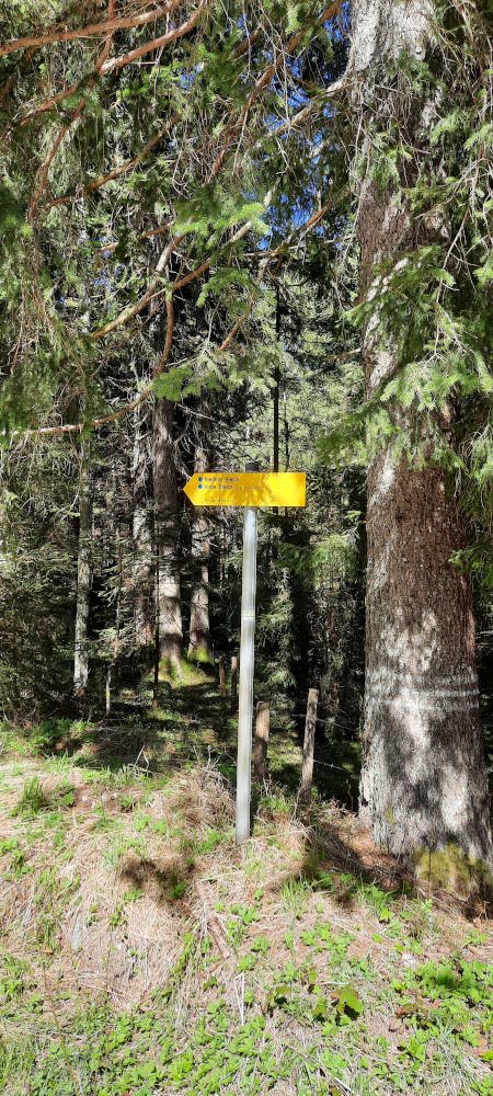 Schilderbaum am Wanderweg zum Niederbleick und Hohe Bleick