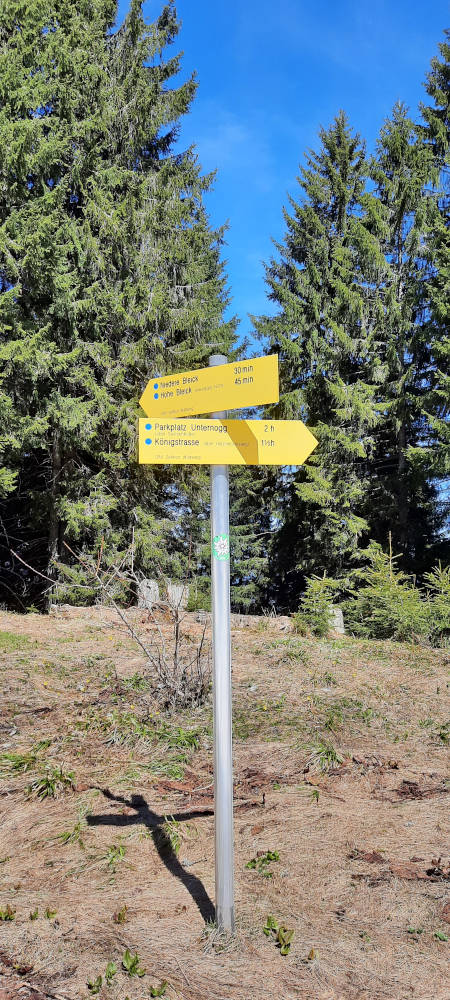 Schilderbaum am Wanderweg zum Niederbleick und Hohe Bleick