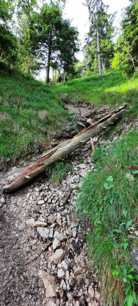 Wanderweg zur Notkarspitze