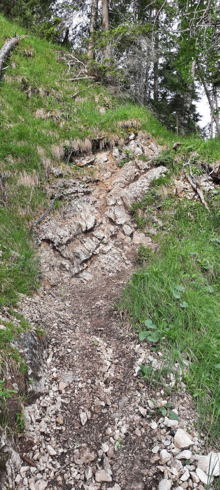 Wanderweg zur Notkarspitze