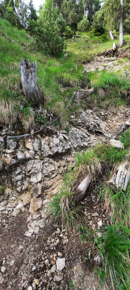 Wanderweg zur Notkarspitze