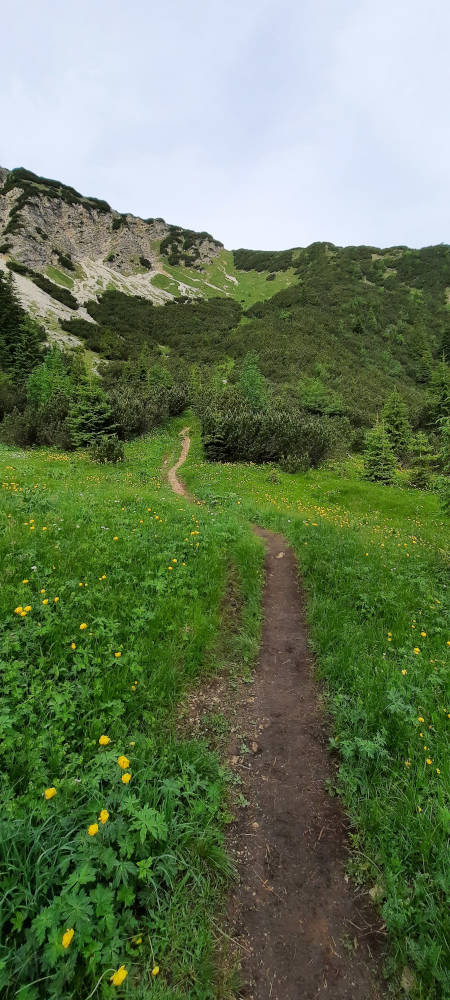 Wanderweg zur Notkarspitze