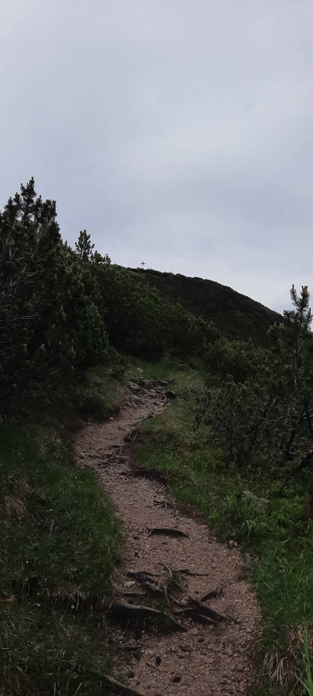 Wanderweg zur Notkarspitze