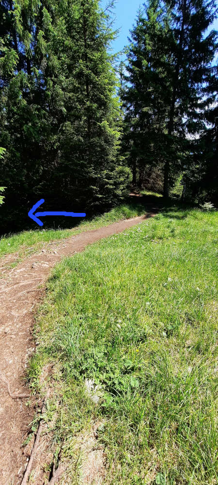 Wanderweg zur Notkarspitze