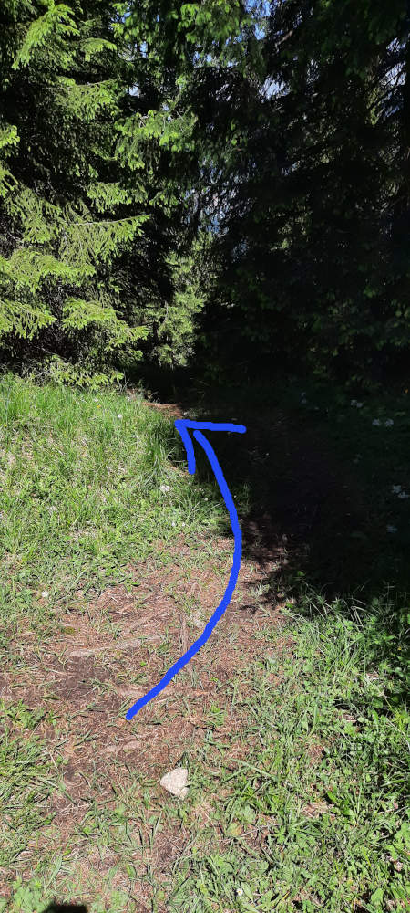 Wanderweg zur Notkarspitze