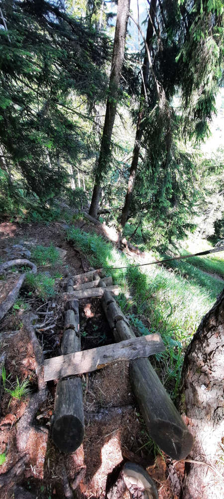 Holztreppen auf dem Wanderweg zur Notkarspitze