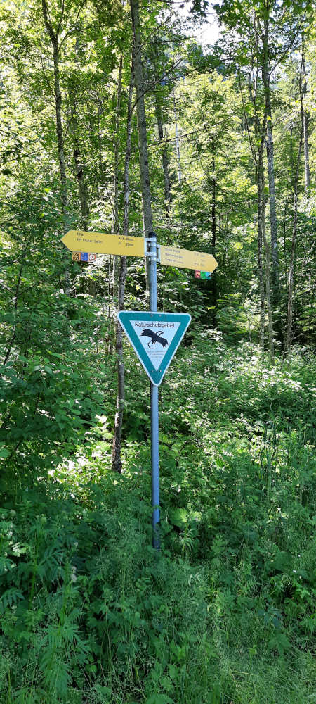 Schilderbaum beim Wanderweg zur Notkarspitze